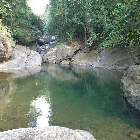 Gallene Gala Nature Resort Kitulgala Exterior photo