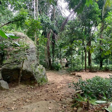 Gallene Gala Nature Resort Kitulgala Exterior photo