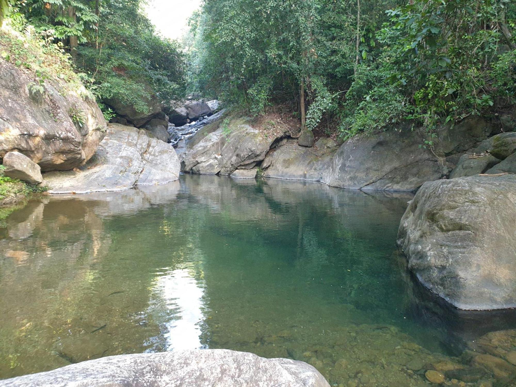 Gallene Gala Nature Resort Kitulgala Exterior photo