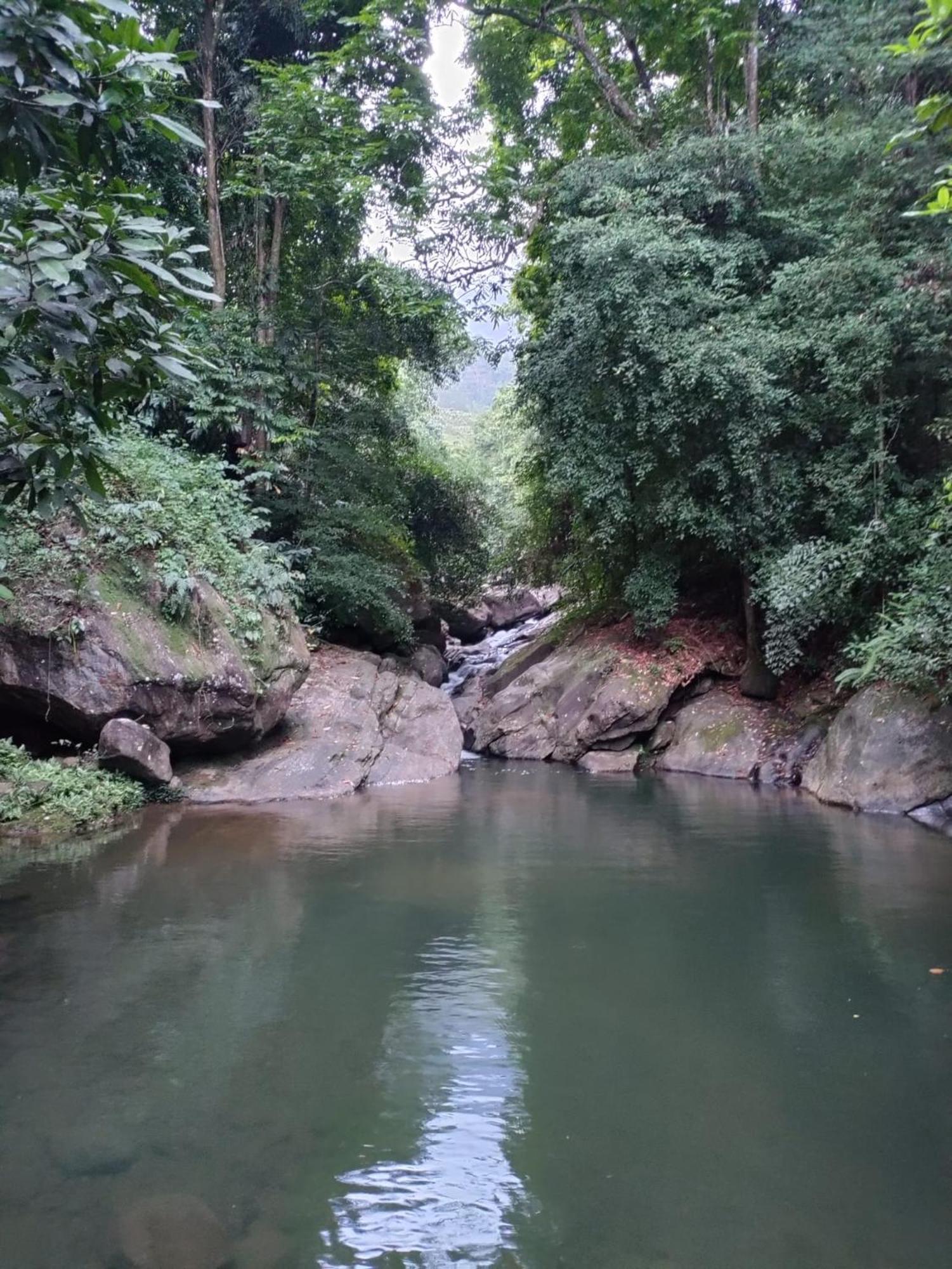 Gallene Gala Nature Resort Kitulgala Exterior photo