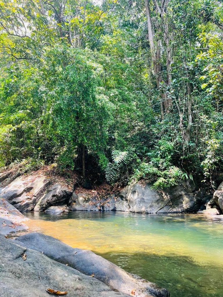 Gallene Gala Nature Resort Kitulgala Exterior photo