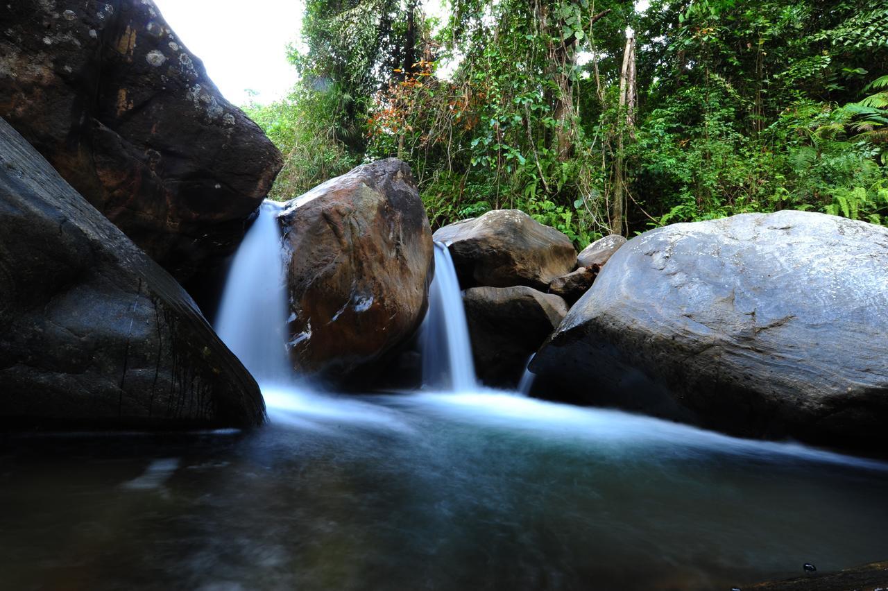 Gallene Gala Nature Resort Kitulgala Exterior photo