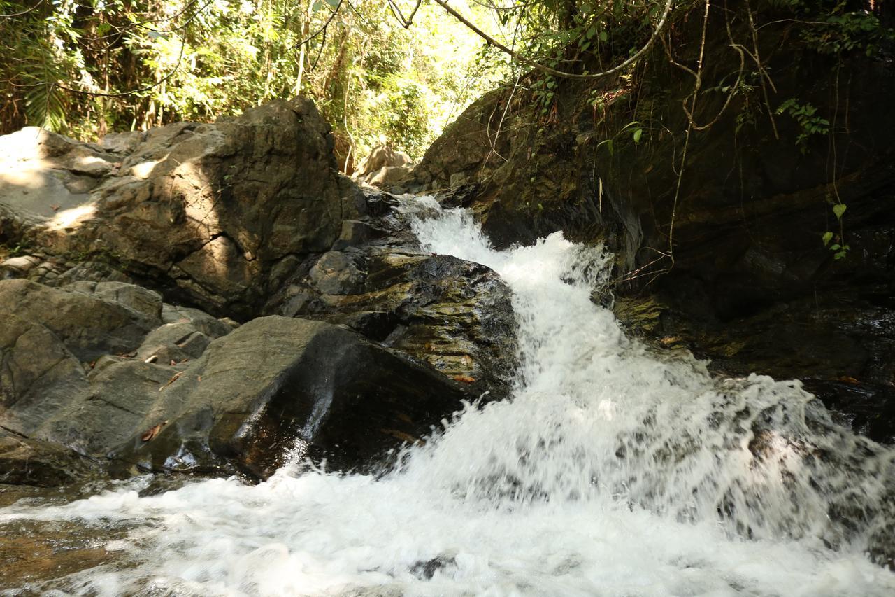 Gallene Gala Nature Resort Kitulgala Exterior photo