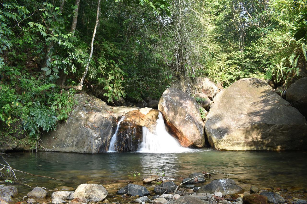 Gallene Gala Nature Resort Kitulgala Exterior photo