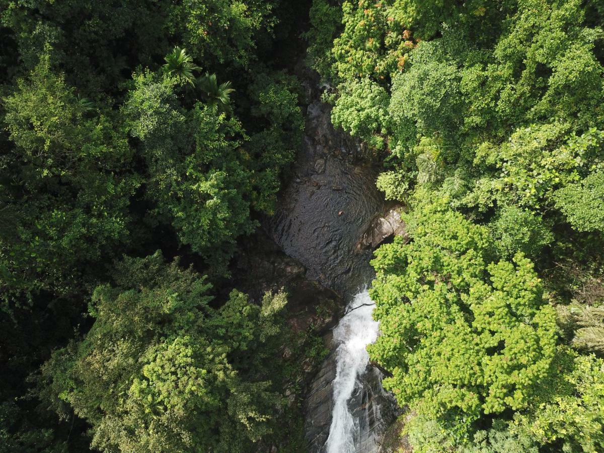 Gallene Gala Nature Resort Kitulgala Exterior photo